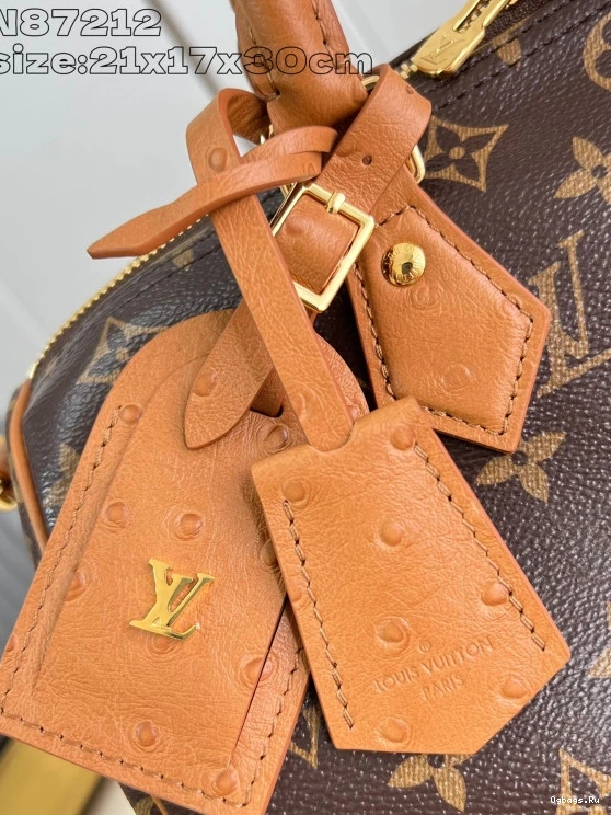 30 Speedy Soft Vuitton Boho Louis 0105